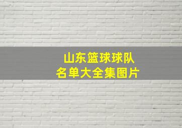 山东篮球球队名单大全集图片