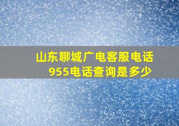 山东聊城广电客服电话955电话查询是多少