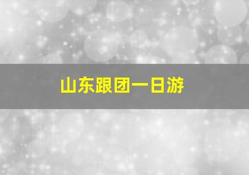 山东跟团一日游