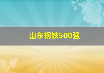 山东钢铁500强