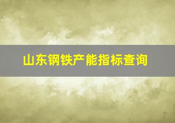 山东钢铁产能指标查询