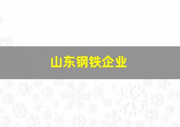 山东钢铁企业