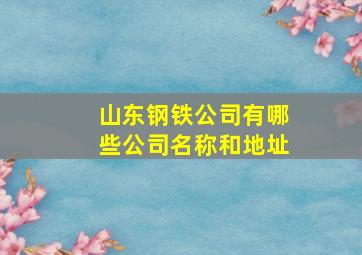 山东钢铁公司有哪些公司名称和地址