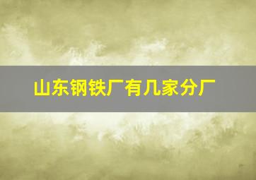 山东钢铁厂有几家分厂