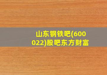 山东钢铁吧(600022)股吧东方财富