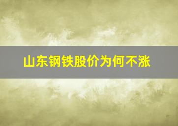 山东钢铁股价为何不涨