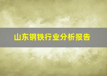 山东钢铁行业分析报告