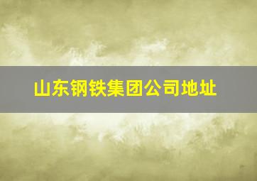 山东钢铁集团公司地址