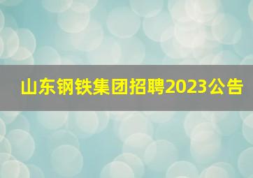 山东钢铁集团招聘2023公告