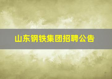 山东钢铁集团招聘公告