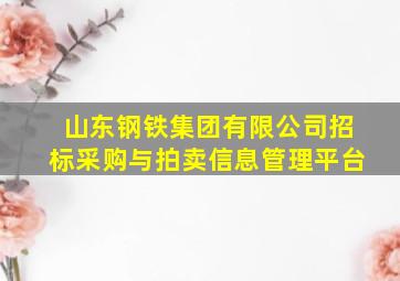 山东钢铁集团有限公司招标采购与拍卖信息管理平台