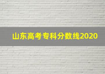 山东高考专科分数线2020