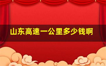 山东高速一公里多少钱啊