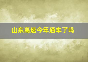 山东高速今年通车了吗