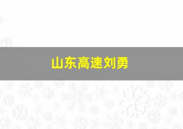 山东高速刘勇