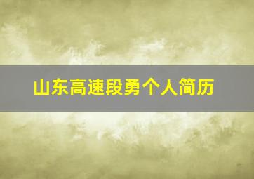 山东高速段勇个人简历