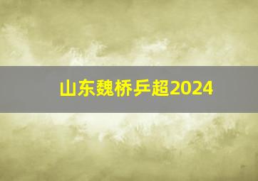 山东魏桥乒超2024