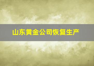 山东黄金公司恢复生产