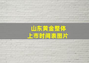 山东黄金整体上市时间表图片