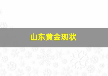 山东黄金现状