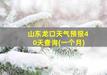 山东龙口天气预报40天查询(一个月)