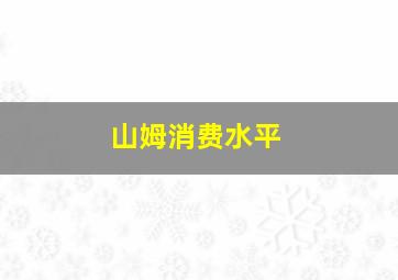 山姆消费水平