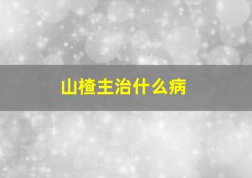 山楂主治什么病