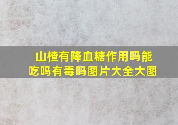 山楂有降血糖作用吗能吃吗有毒吗图片大全大图