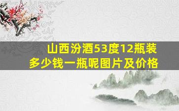 山西汾酒53度12瓶装多少钱一瓶呢图片及价格