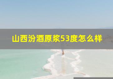 山西汾酒原浆53度怎么样