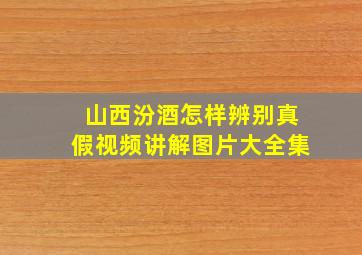 山西汾酒怎样辨别真假视频讲解图片大全集