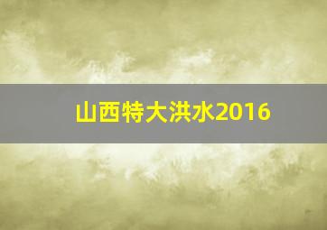 山西特大洪水2016