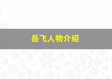 岳飞人物介绍