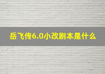 岳飞传6.0小改剧本是什么