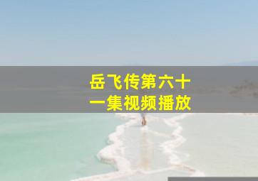 岳飞传第六十一集视频播放