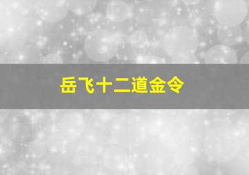 岳飞十二道金令