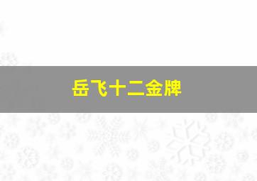 岳飞十二金牌