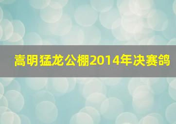 嵩明猛龙公棚2014年决赛鸽