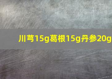 川芎15g葛根15g丹参20g