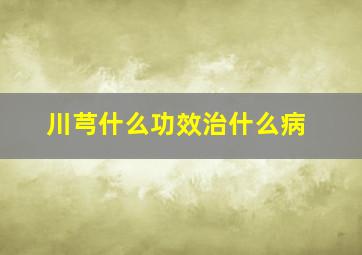 川芎什么功效治什么病