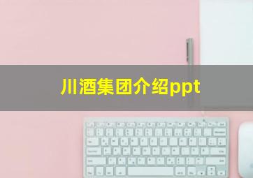 川酒集团介绍ppt