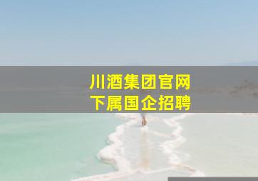 川酒集团官网下属国企招聘