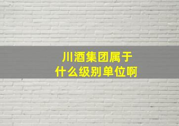 川酒集团属于什么级别单位啊