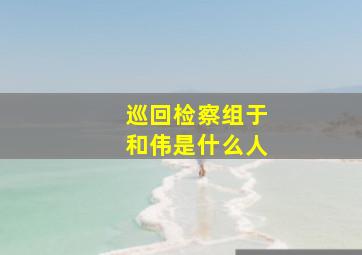 巡回检察组于和伟是什么人