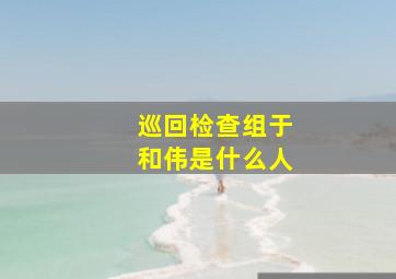 巡回检查组于和伟是什么人