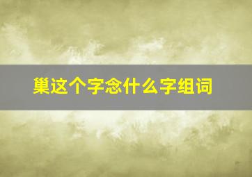 巢这个字念什么字组词