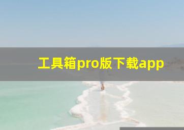 工具箱pro版下载app