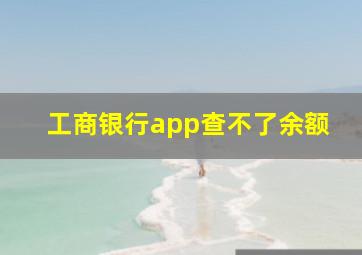 工商银行app查不了余额