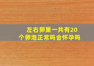 左右卵巢一共有20个卵泡正常吗会怀孕吗