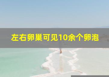 左右卵巢可见10余个卵泡